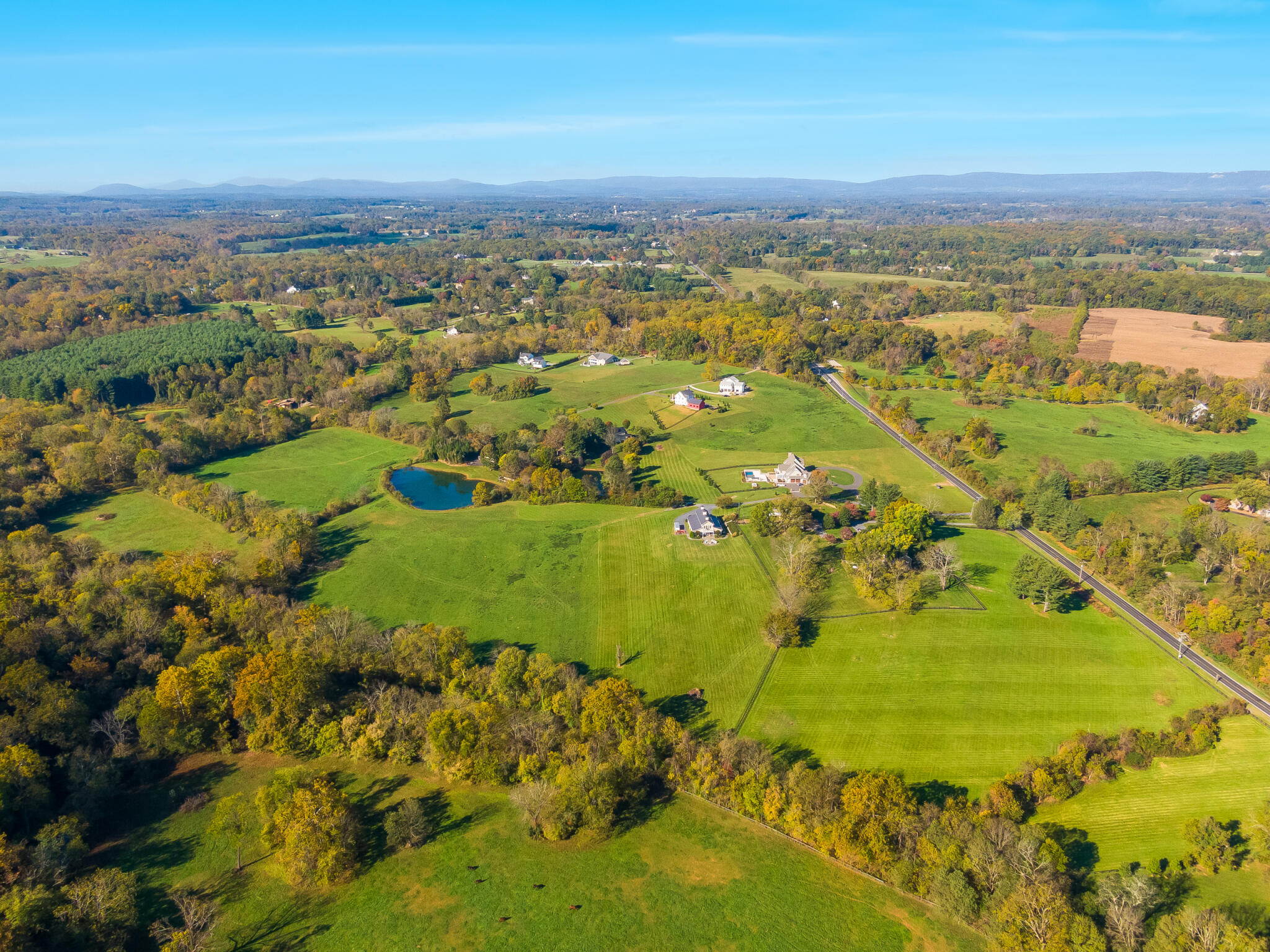 DJI_0319.jpg